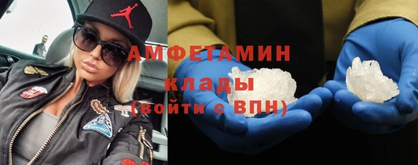 хмурый Алексин