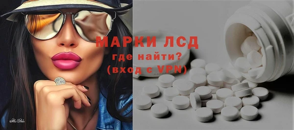 хмурый Алексин
