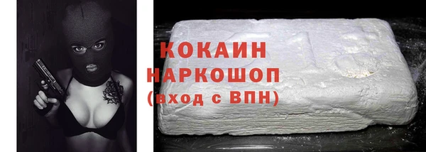 хмурый Алексин