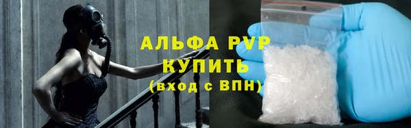 прущий лед Алзамай