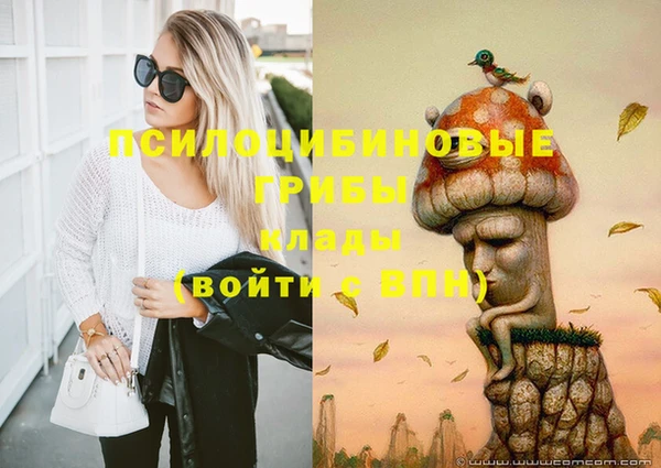 хмурый Алексин