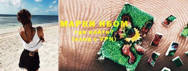 хмурый Алексин