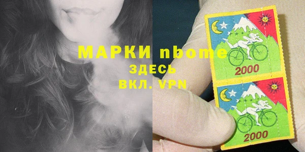 прущий лед Алзамай