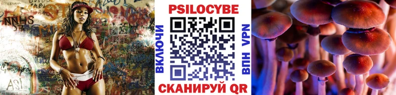 Галлюциногенные грибы Psilocybine cubensis  купить  сайты  Брянск 